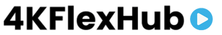 4kflexhub logo